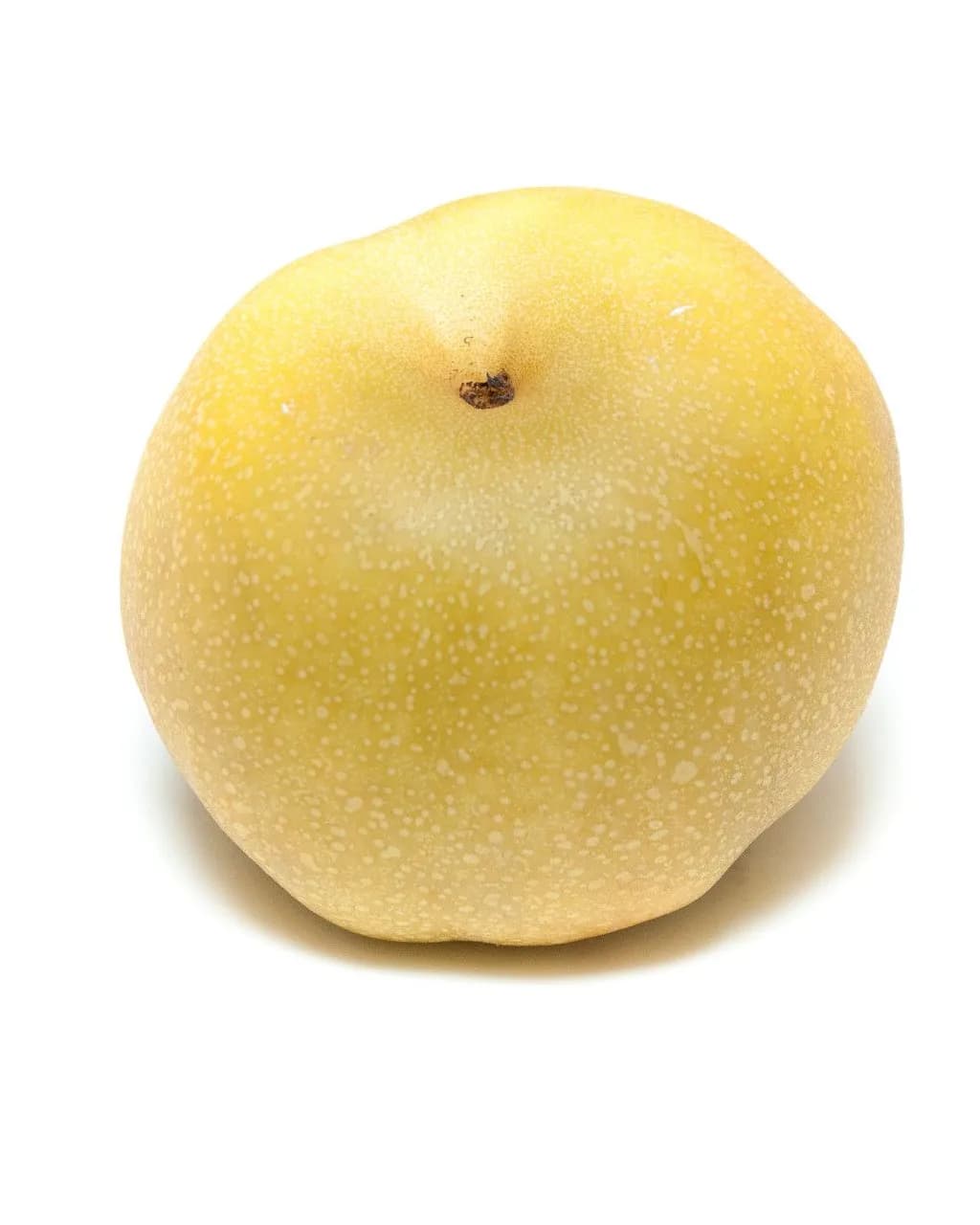 Asian Pear