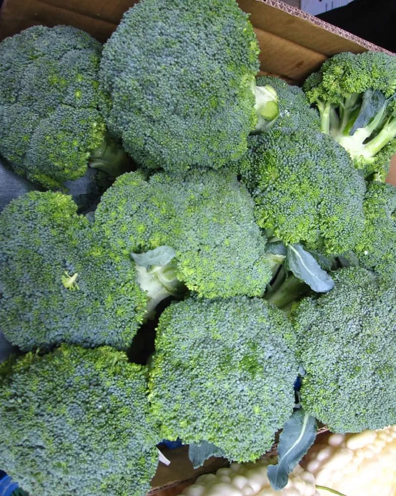 Organic Broccoli